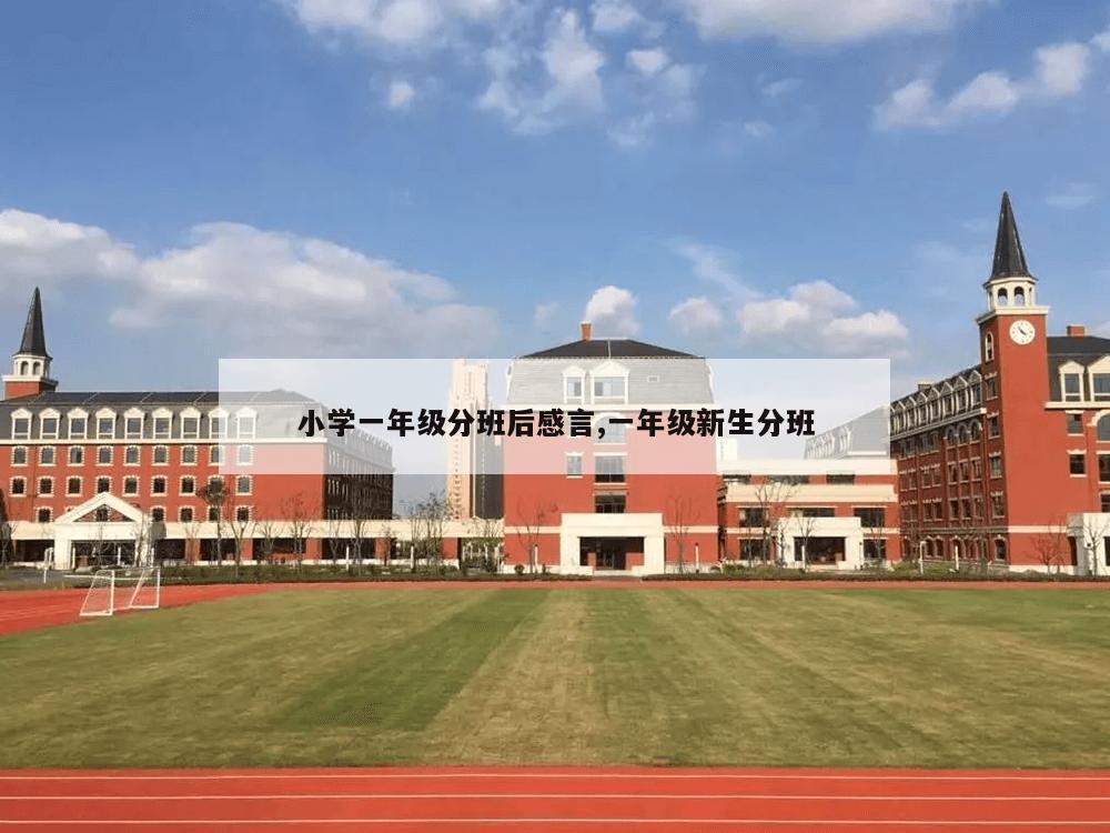 小学一年级分班后感言,一年级新生分班