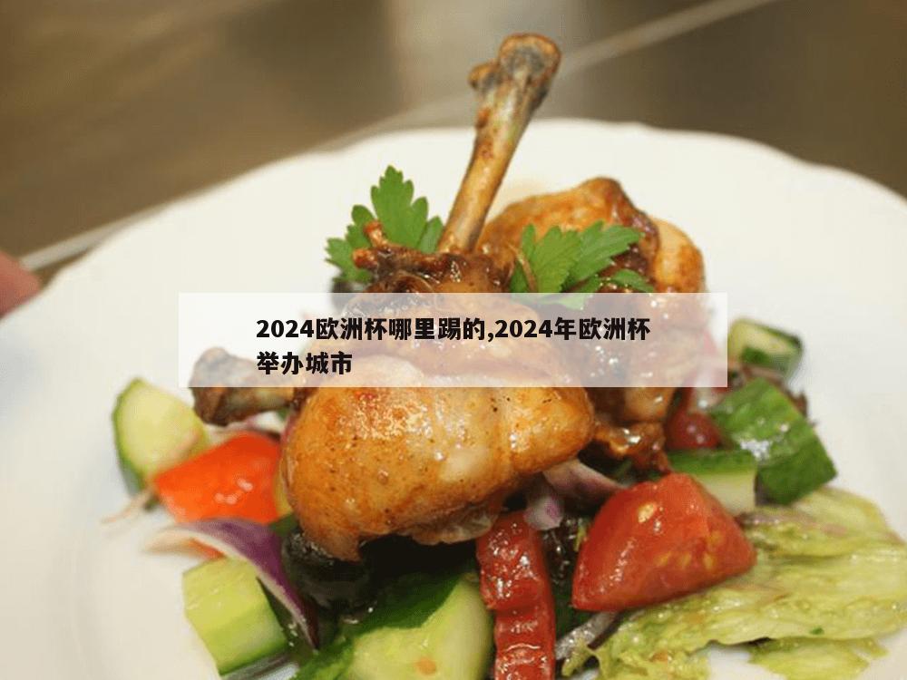 2024欧洲杯哪里踢的,2024年欧洲杯举办城市