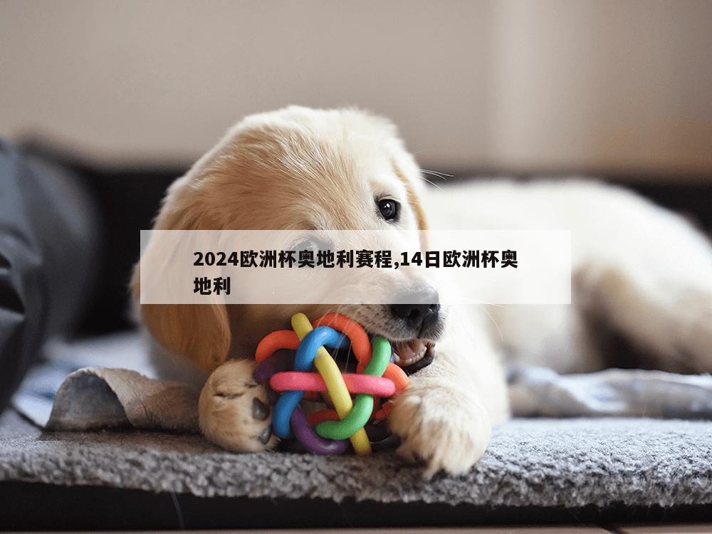 2024欧洲杯奥地利赛程,14日欧洲杯奥地利