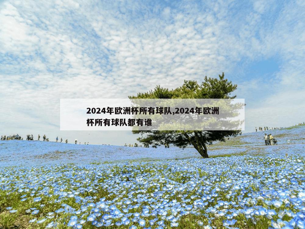 2024年欧洲杯所有球队,2024年欧洲杯所有球队都有谁