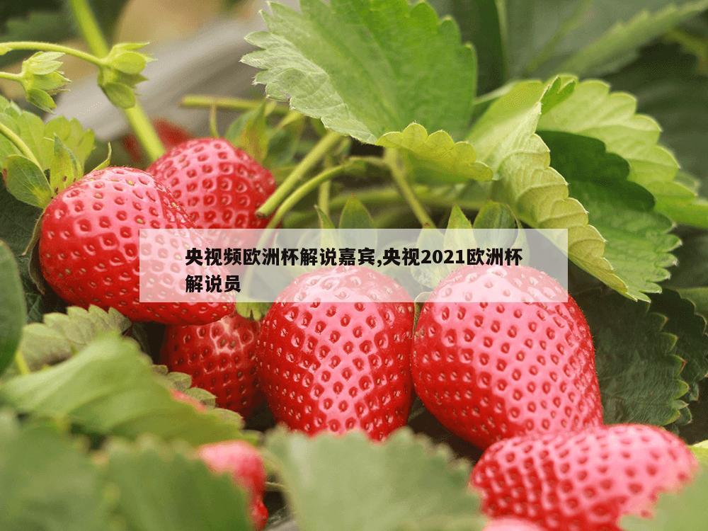 央视频欧洲杯解说嘉宾,央视2021欧洲杯解说员