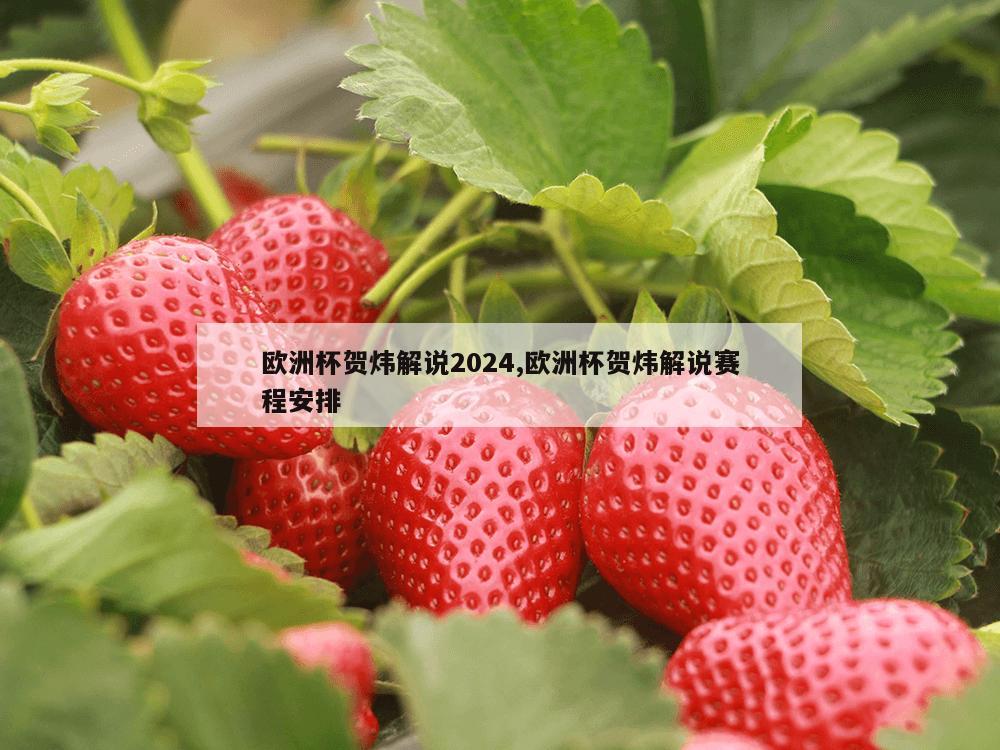 欧洲杯贺炜解说2024,欧洲杯贺炜解说赛程安排