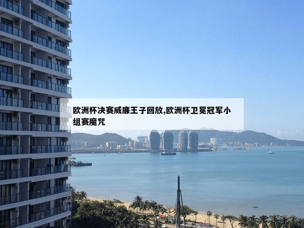 欧洲杯决赛威廉王子回放,欧洲杯卫冕冠军小组赛魔咒